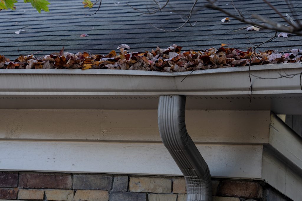 Braselton Gutter Cleaning